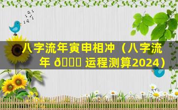 八字流年寅申相冲（八字流年 🕊 运程测算2024）